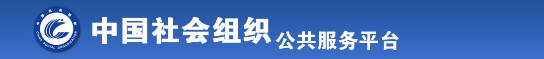 大吊插白虎全国社会组织信息查询